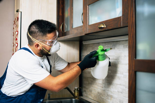 Best Ant Control Services  in Fanning Springs, FL
