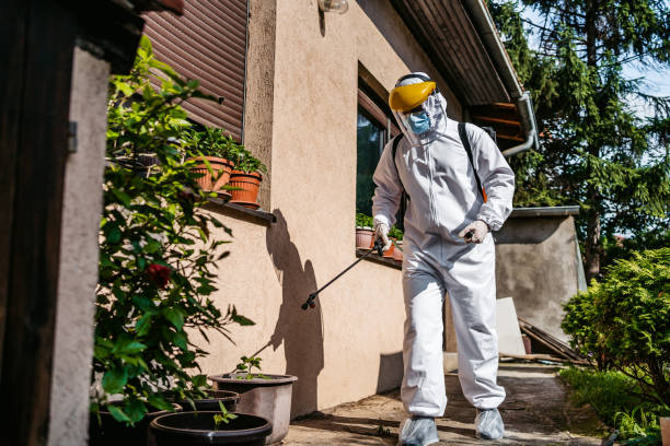 Best Spider Control Near Me  in Fanning Springs, FL