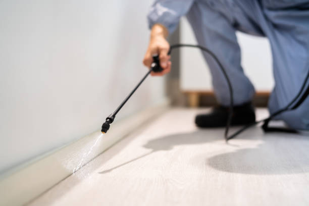 Flea Control Services in Fanning Springs, FL