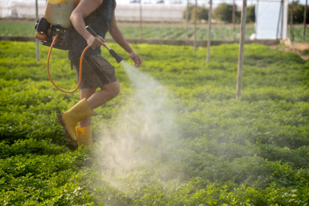 Best Mosquito Control Services  in Fanning Springs, FL