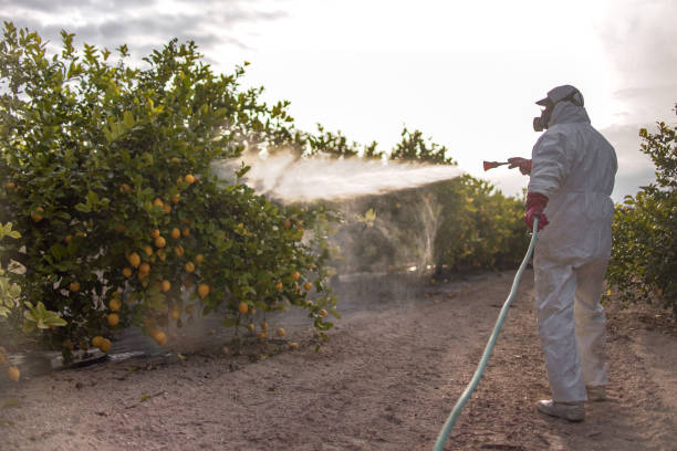 Best Exterminator Services  in Fanning Springs, FL