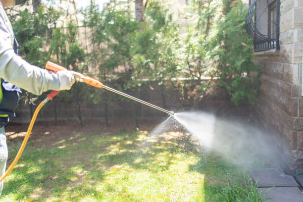 Best Exterminator Services  in Fanning Springs, FL