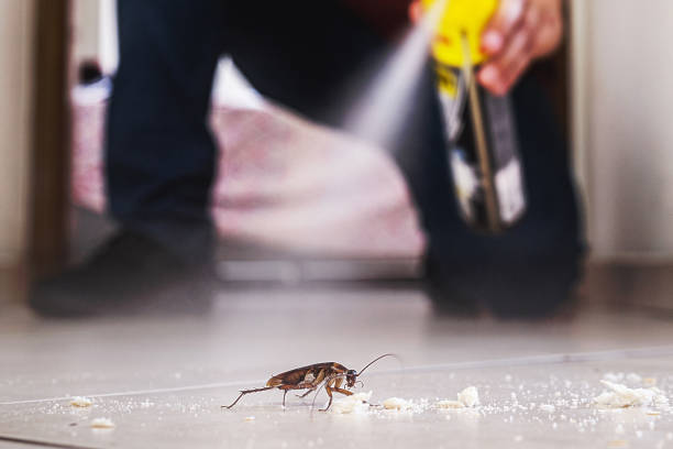  Fanning Springs, FL Pest Control Pros