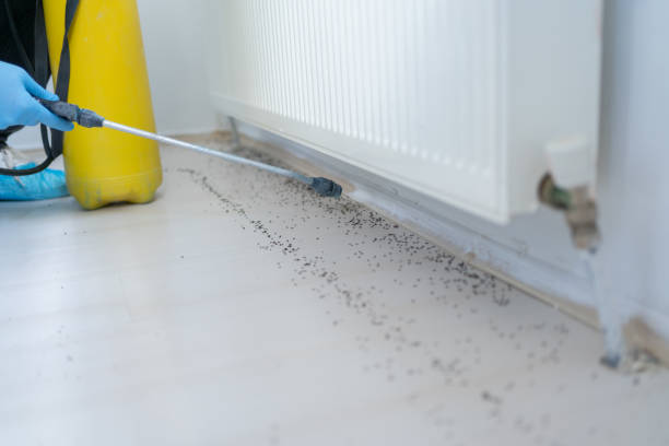 Trusted Fanning Springs, FL Pest Control Experts