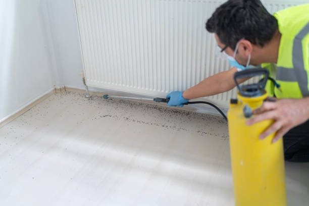 Best Bed Bug Extermination  in Fanning Springs, FL