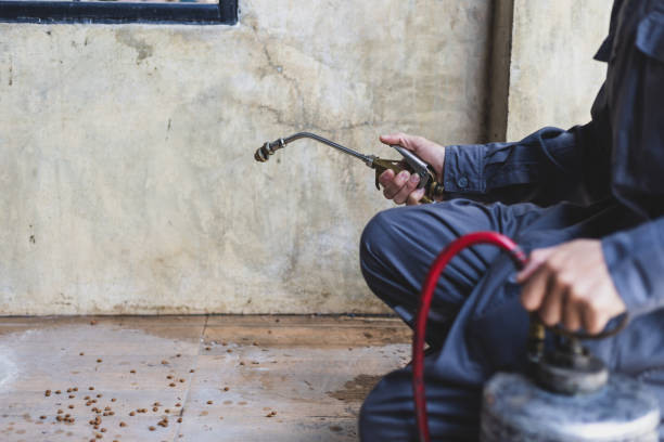 Best Wasp Removal Services  in Fanning Springs, FL